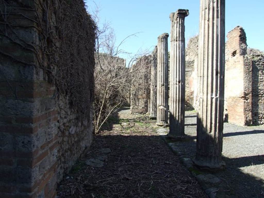 VIII.5.9 Pompeii.  March 2009.  Peristyle garden. Looking west across narrow part of Peristyle, where there was a small square water basin built against the back wall. Nothing remains, only the three flat slabs mark the area.