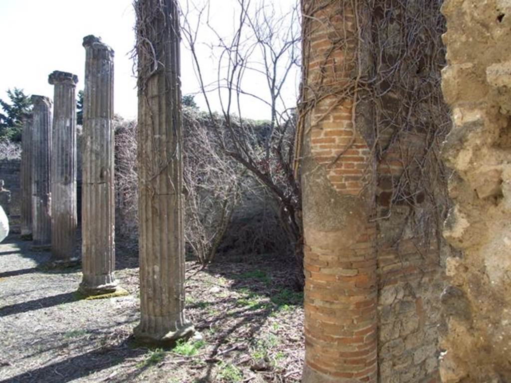 VIII.5.9 Pompeii.  March 2009.  North Portico columns.  Looking east.