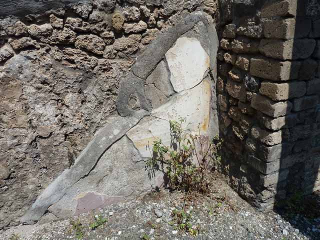 VIII.5.24 Pompeii. May 2010. Room 11, south wall.