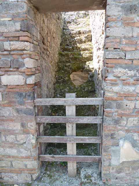VIII.5.24 Pompeii. May 2010. Room 13, south wall.