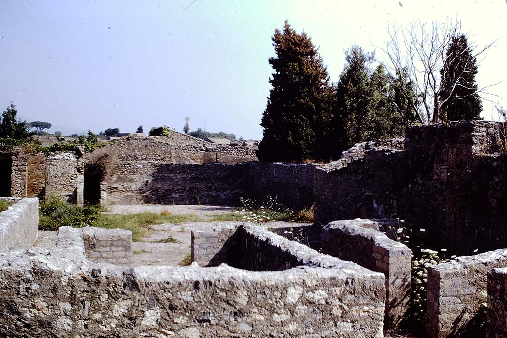 VIII.6.4 Pompeii. 1968. Looking north towards remains of peristyle garden. Photo by Stanley A. Jashemski.
Source: The Wilhelmina and Stanley A. Jashemski archive in the University of Maryland Library, Special Collections (See collection page) and made available under the Creative Commons Attribution-Non Commercial License v.4. See Licence and use details.
J68f1226  
According to Jashemski 
The garden was enclosed on four sides by a portico supported by fourteen brick columns, of which only the bases remained.
The area at the rear had been cleared of previous construction, probably after the 62AD earthquake, as had the area to the west, for which even the location of the entrance is not clear.
She described this location as VIII.6.3 (No.14 at Pompeii).
Sources: Sogliano, NSc., (1883), p.51; Mau, BdI., (1884), p.135-136 (where the location is given as VII.7.[5].
See Jashemski, W. F., 1993. The Gardens of Pompeii, Volume II: Appendices. New York: Caratzas. (p.219).


