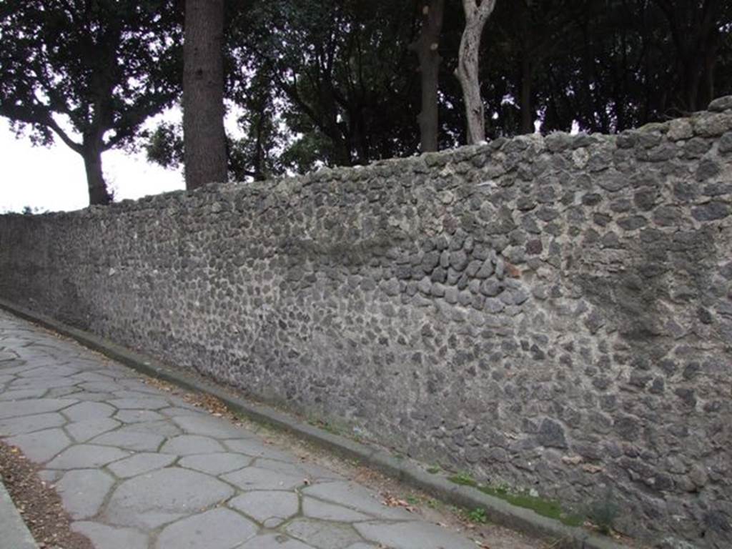 Exterior of east wall on Via dei Teatri looking south.  December 2007.