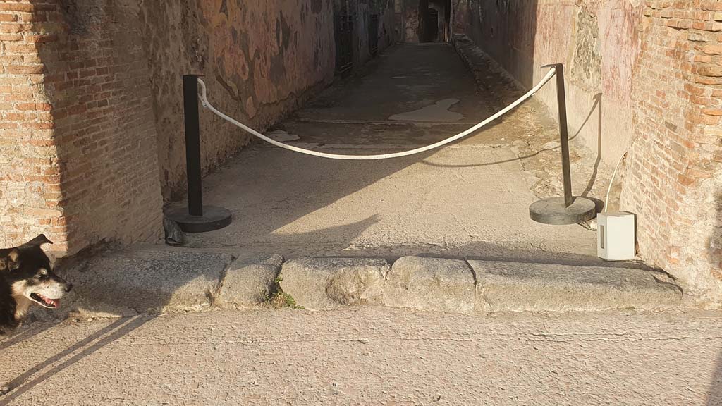 VIII.7.20 Pompeii. August 2021. Doorway threshold from Via Stabiana.
Foto Annette Haug, ERC Grant 681269 DÉCOR.

