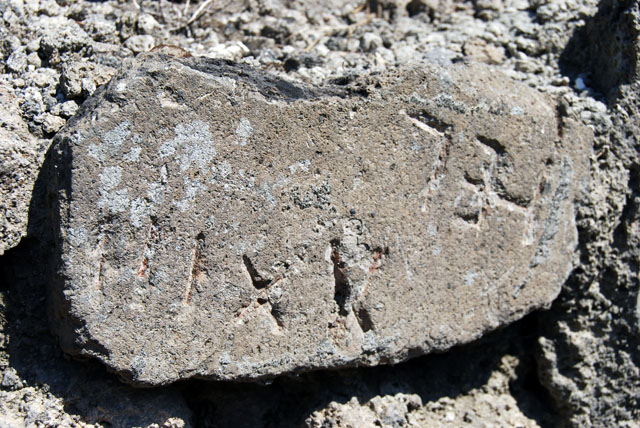 VIII.7.22 Pompeii. September 2010. Doorway into area, that was originally below the peristyle of VIII.7.24. Note column fragment presumably from collapse above. Photo courtesy of Drew Baker.

