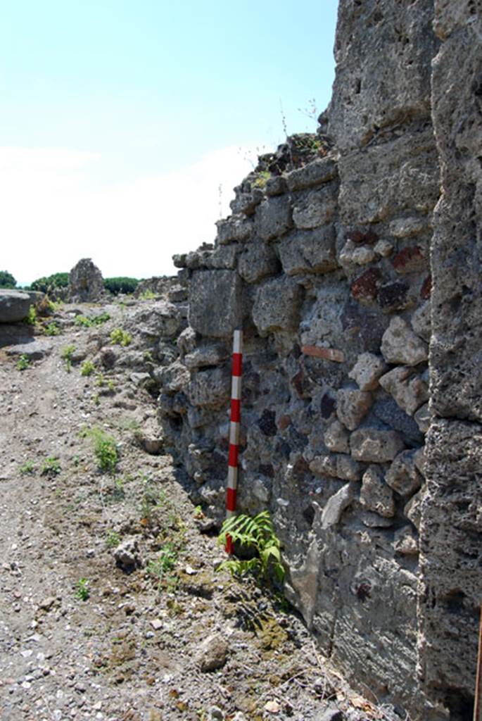 VIII.7.24 Pompeii. June 2009. West wall at side of area of stairs. Courtesy of Sera Baker.