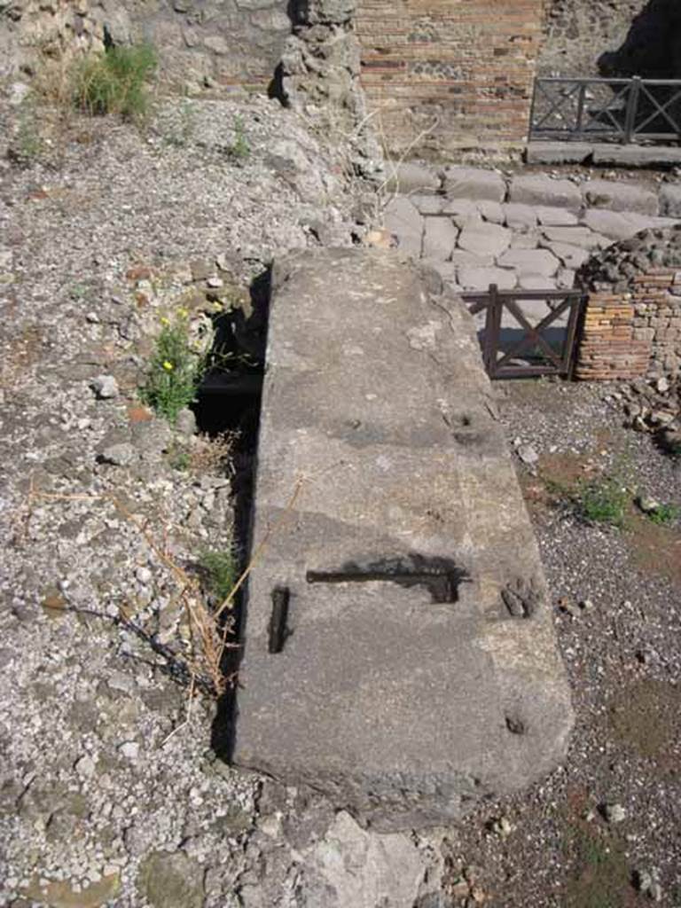 VIII.7.24 Pompeii. September 2010. Detail of threshold from triclinium onto north portico, now collapsed. Photo courtesy of Drew Baker.

