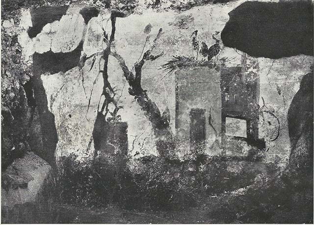 VIII.7.24 Pompeii. 1955. Fragment of Nilotic painting in peristyle. South wall. House on the river.
See Maiuri A., 1955. Una Nuova Pittura Nilotica a Pompei. Roma: Acc. Naz dei Lincei, Tav. I, 1.
