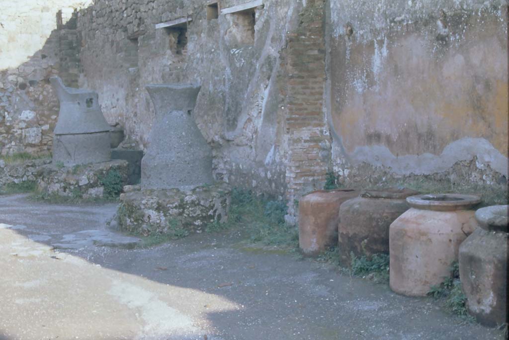 IX.1.3 Pompeii. August 2021. 
Looking east along the south wall, on the left, in the south-east corner (with greenery) would have been a stall for the animals. 
Photo courtesy of Robert Hanson.
