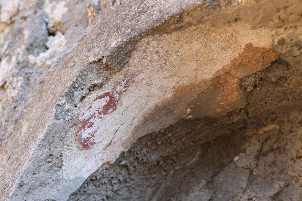IX.1.16 Pompeii. December 2018. Detail of surviving painted decoration. Photo courtesy of Aude Durand.