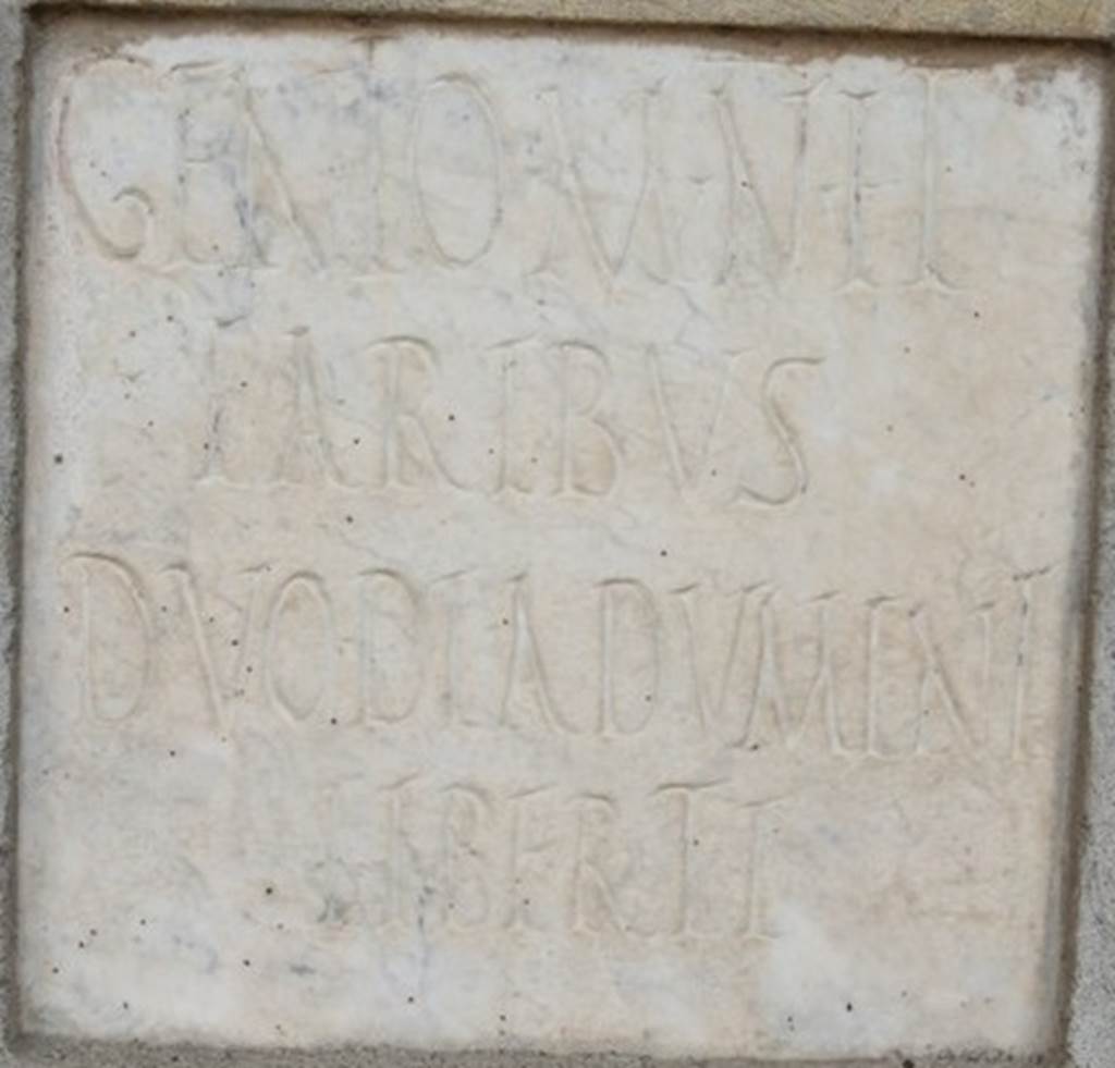 IX.1.20 Pompeii. December 2007.  Room 6, marble plaque with inscription on household shrine in ala on east side. On the front of the podium is a dedicatory inscription “Genio M[ arci ] n[ostri ] et Laribus duo Diadumeni liberti”.  “To the Genius of our Marcus and the Lares: (dedicated by) his two freedmen with the name of Diadumenus”.  [CIL X 861 = ILS 3641]


