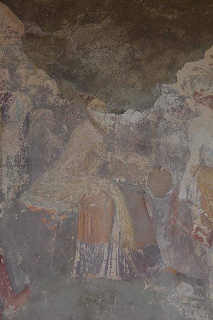 IX.1.22 Pompeii. September 2019. Room 19, detail from painting on north wall, Orpheus.  
Foto Annette Haug, ERC Grant 681269 DÉCOR

