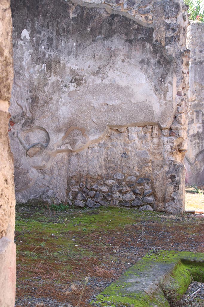 IX.1.29 Pompeii. October 2022. 
Detail of lower west wall on south (left) side of doorway to peristyle. Photo courtesy of Klaus Heese. 
