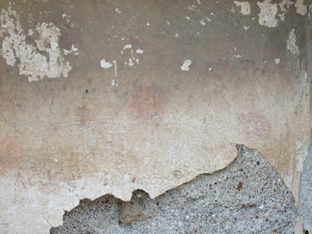 IX.2.18 Pompeii. March 2009.  Room 11. Garden area.  North wall of East Portico.   Below the niche was a painted serpent creeping between plants. 
On the plants were birds and an owl.  Today, only the niche remains.
See Giacobello, F., 2008. Larari Pompeiani: Iconografia e culto dei Lari in ambito domestico.  Milano: LED Edizioni. P.283
