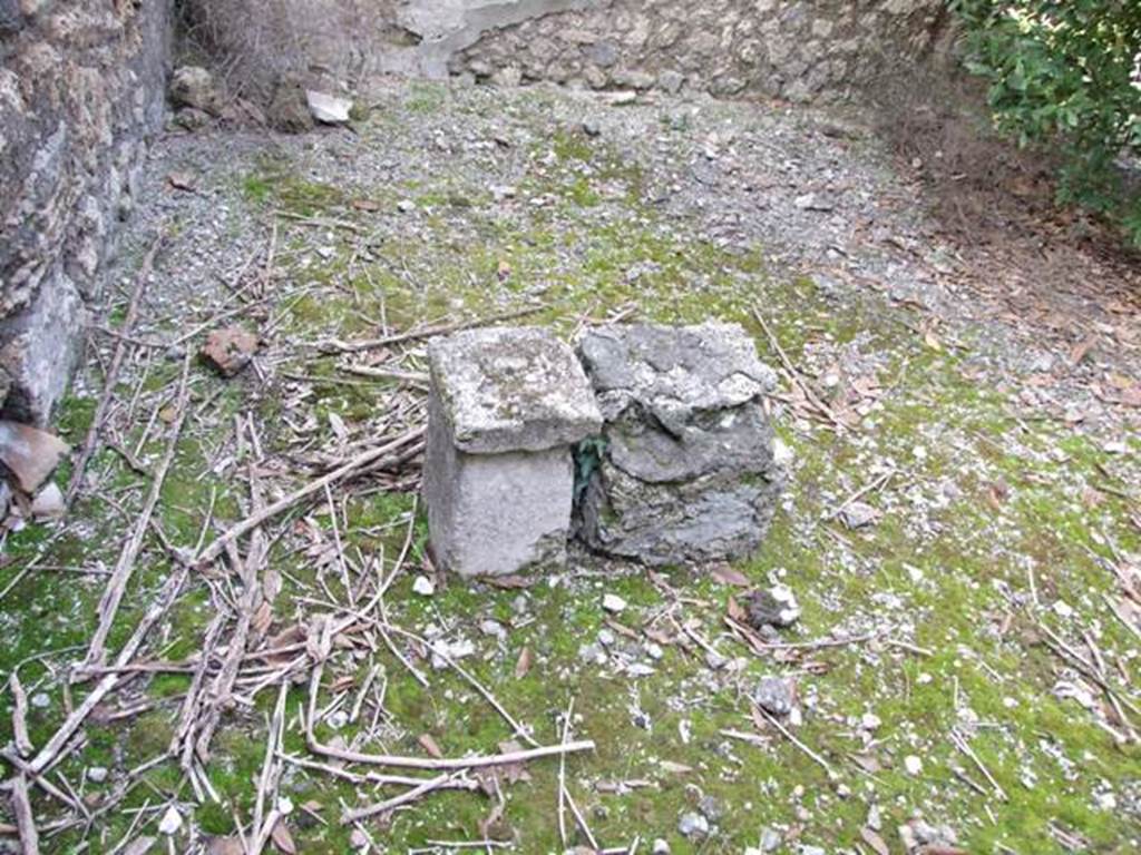 IX.2.21 Pompeii. March 2009. Room 11, south-west corner of garden area.  According to Jashemski: 
Fiorelli mentions, but does not locate, an altar in the garden.  
Trendelenburg mentions both a statue base and an altar.  Neither are there today.  
See Jashemski, W. F., 1993. The Gardens of Pompeii, Volume II: Appendices. New York: Caratzas. (p.229).
According to Boyce, the report in the Bull. Inst. describes a second statue base with altar in the peristyle; Fiorelli mentions only an altar; there is nothing to be seen there today.
See Boyce G. K., 1937. Corpus of the Lararia of Pompeii. Rome: MAAR 14. (p.81, no.401)
Boyce gave the reference - Bull. Inst., 1871, 193. 

