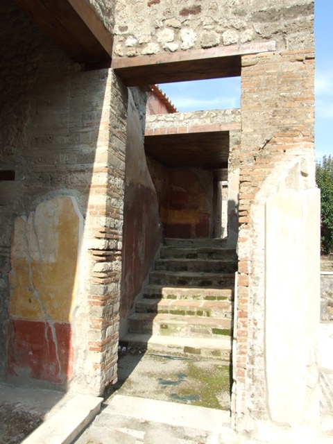 IX.3.5 Pompeii.  March 2009.  Room 25.  South wall.