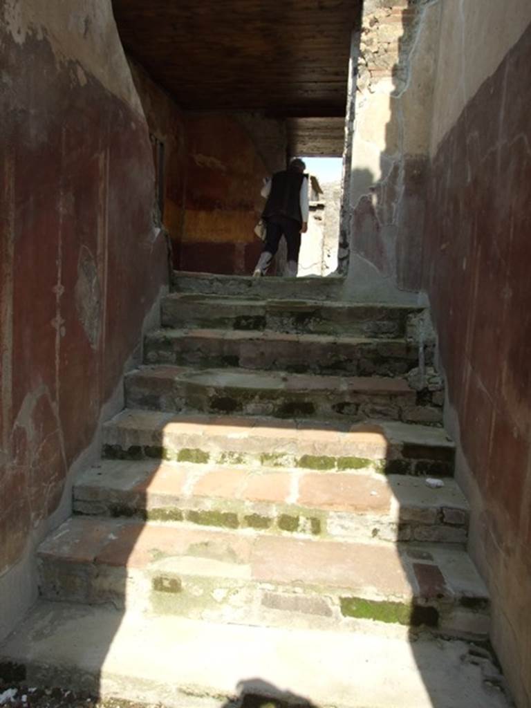 IX.3.5 Pompeii. March 2009. Room 17, stairs to upper level. According to Dyer: 
In order to enter the peristyle, the visitor must ascend a flight of seven steps in the fauces or narrow passage, on the left of the tablinum. On these steps a skeleton was found.
See Dyer, T., 1867. The Ruins of Pompeii. London: Bell and Daldy. (p.85)
