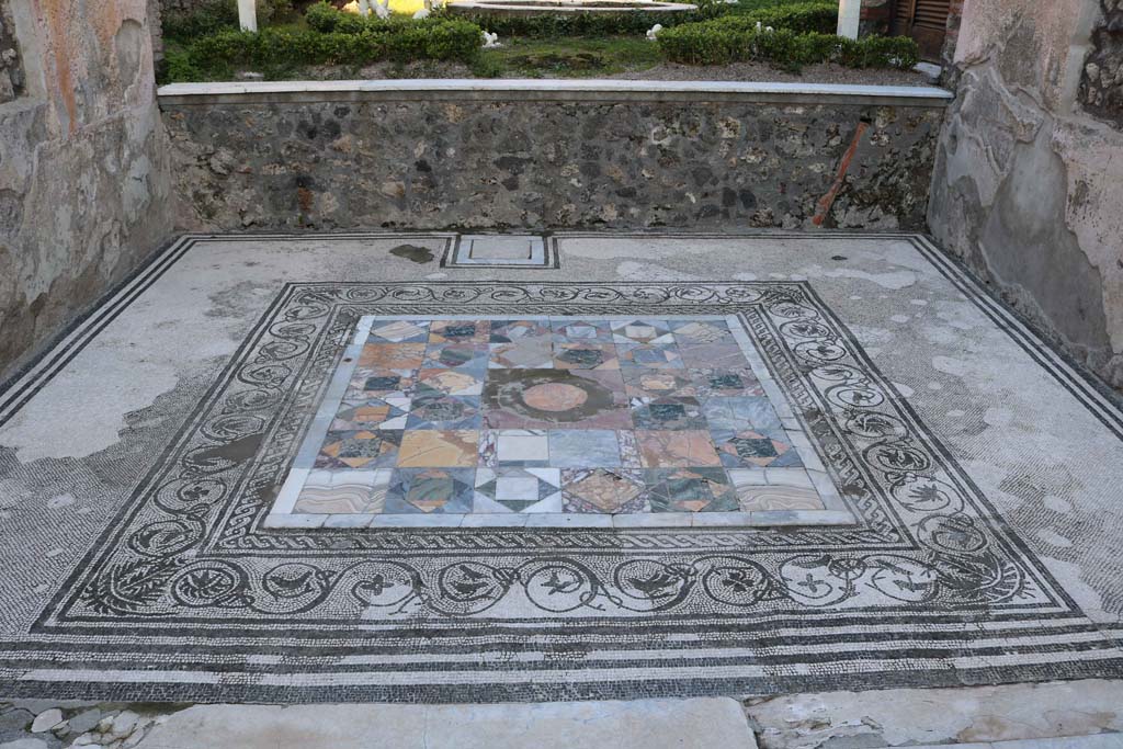 IX.3.5 Pompeii. December 2018. Room 12, mosaic floor in tablinum. Photo courtesy of Aude Durand.

