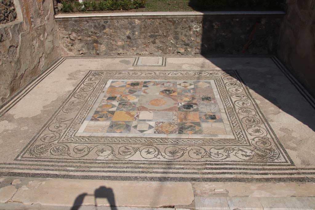 IX.3.5 Pompeii. September 2017. Room 12, mosaic floor in tablinum. Photo courtesy of Klaus Heese.

