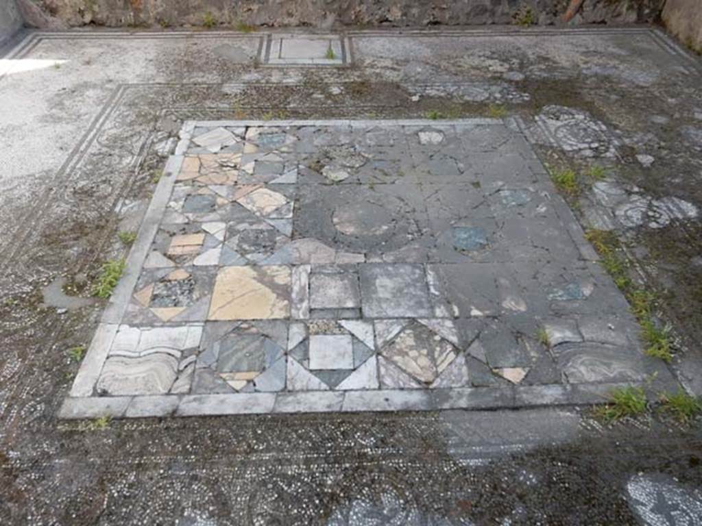IX.3.5 Pompeii. May 2015. Room 12, mosaic floor in tablinum. Photo courtesy of Buzz Ferebee.