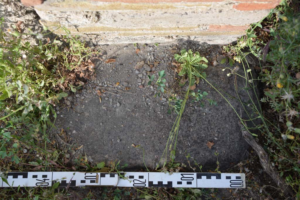 IX.5.2 Pompeii. May 2017. Room L, detail from doorway threshold near east wall at south end of tablinum.
Foto Christian Beck, ERC Grant 681269 DCOR.

