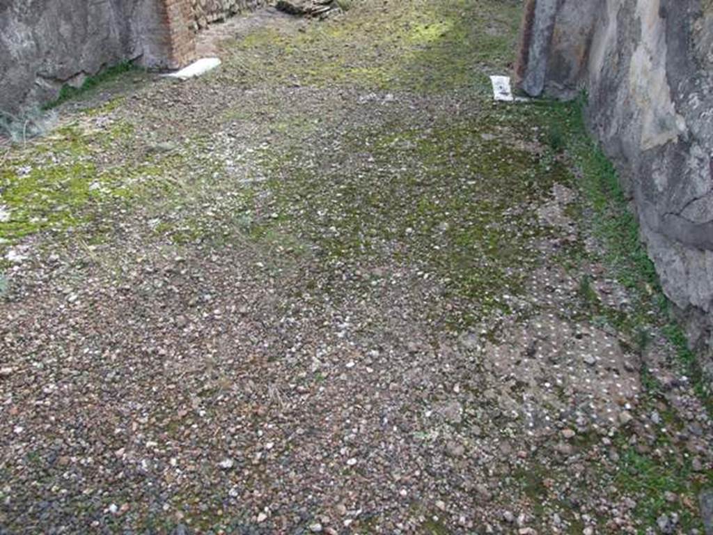 IX.5.2 Pompeii. December 2007. Room 10, looking south across decorated floor in tablinum at north end.
In the centre of the floor would have been an ornamental medallion/emblema, surrounded by a border of meanders, and all set in a cocciopesto floor formed by lines of white tesserae dots.
