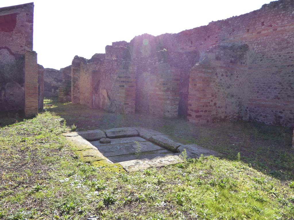 IX.5.2 Pompeii. January 2017. Atrium ‘b’, looking south-west across impluvium in atrium.
Foto Annette Haug, ERC Grant 681269 DÉCOR.
