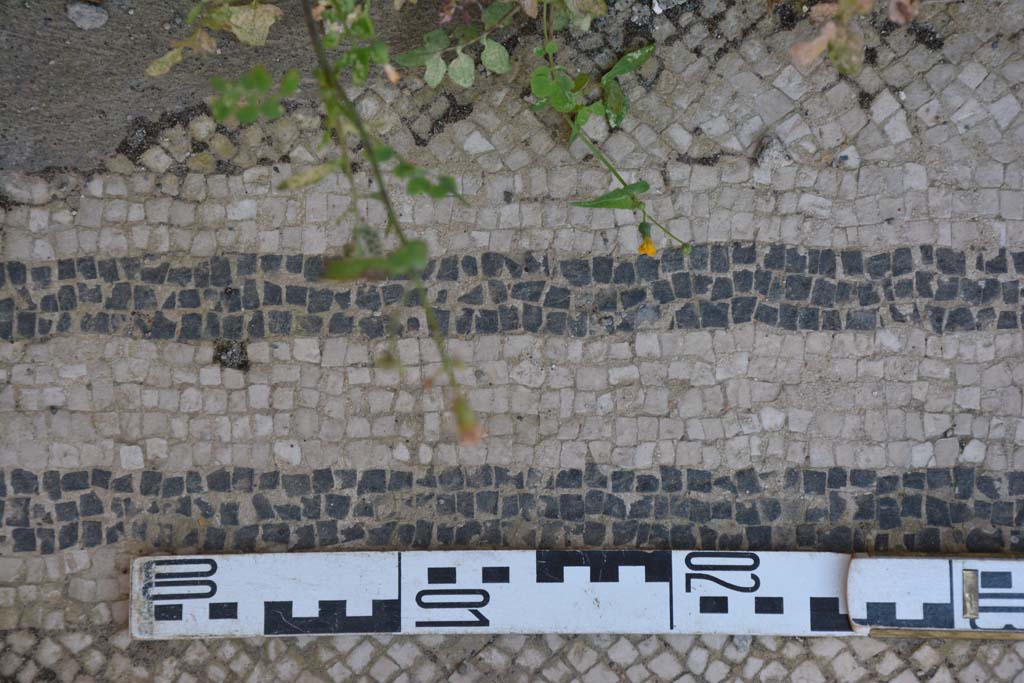 IX.5.6 Pompeii. May 2017. West ala d, flooring, white tesserae with two black bands.
Foto Christian Beck, ERC Grant 681269 DCOR.

