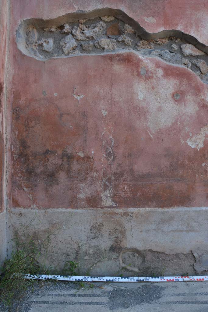 IX.5.6 Pompeii. May 2017. 
West ala d, north wall at west end, painted twisted candelabra decoration separating panels.
There was another one at the east end separating the panels there.
Foto Christian Beck, ERC Grant 681269 DCOR.
According to PPM 
these twisted candelabra were painted across the middle zone and consisted of spirals of different colours, one blue, one green and a yellow.
See Carratelli, G. P., 1990-2003. Pompei: Pitture e Mosaici. IX. (9). Roma: Istituto della enciclopedia italiana, p. 414. Nos 21-22).
