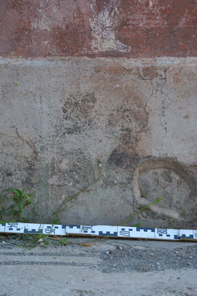 IX.5.6 Pompeii. May 2017. West ala d, north wall, zoccolo with remains of painted plants.
Foto Christian Beck, ERC Grant 681269 DCOR.
