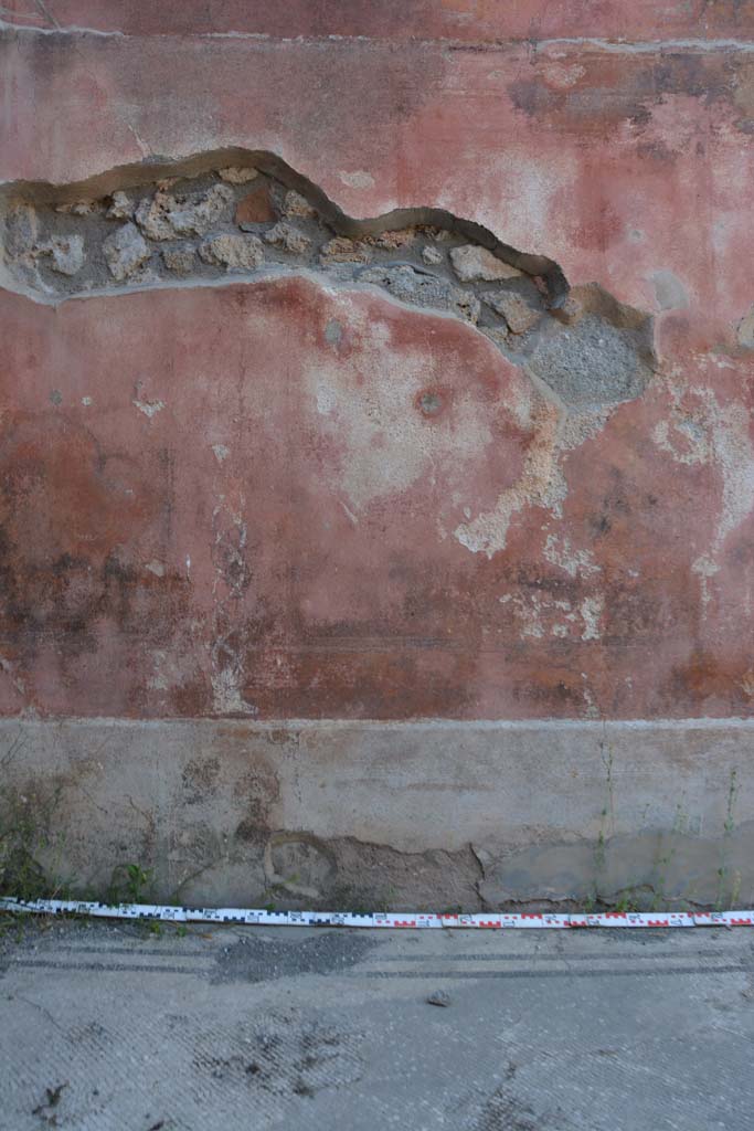 IX.5.6 Pompeii. May 2017. West ala d, north wall, area of central panel.
Foto Christian Beck, ERC Grant 681269 DCOR.
In the central panel of the black zoccolo, there was a picture with a dolphin supported by slender cornucopias and flanked by arched garlands: the side panels were crossed by carpet borders of triangles and semicircles; in the dividing compartments there were painted plants with long lanceolate leaves.
See Carratelli, G. P., 1990-2003. Pompei: Pitture e Mosaici. IX. (9). Roma: Istituto della enciclopedia italiana, p. 414. Nos 20-22).
