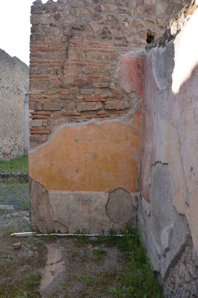 IX.5.9 Pompeii. May 2017. Room p, north wall in north-east corner.
Foto Christian Beck, ERC Grant 681269 DCOR.
According to PPM 
The north wall was also painted with a black zoccolo with painted plants in panels; the middle zone was a yellow painted panel with carpet border of semicircles. The IV Style decoration in this room had simple paintings of animals.
See Carratelli, G. P., 1990-2003. Pompei: Pitture e Mosaici. IX (9). Roma: Istituto della enciclopedia italiana, (p.525).

