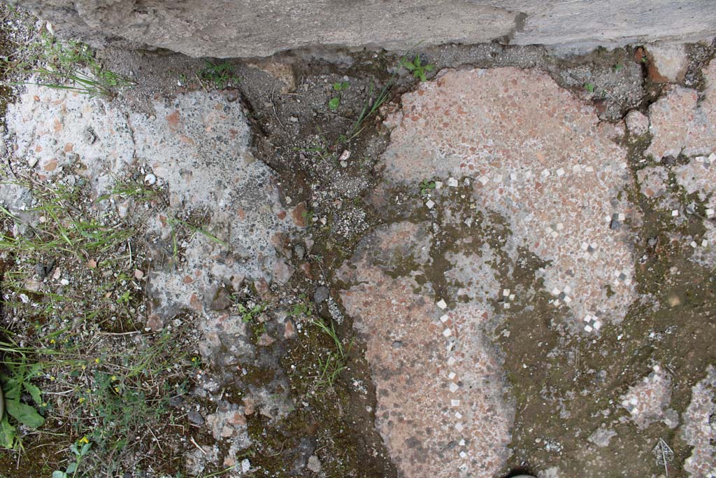 IX.5.9 Pompeii. May 2019. Room p, flooring near north wall and doorway, on left.  
Foto Christian Beck, ERC Grant 681269 DCOR
