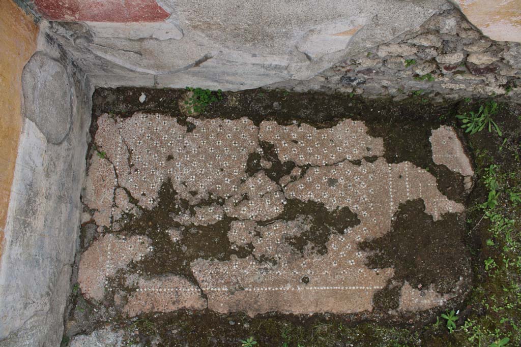 IX.5.9 Pompeii. May 2019. Room p, looking towards flooring in north-east corner.  
Foto Christian Beck, ERC Grant 681269 DCOR

