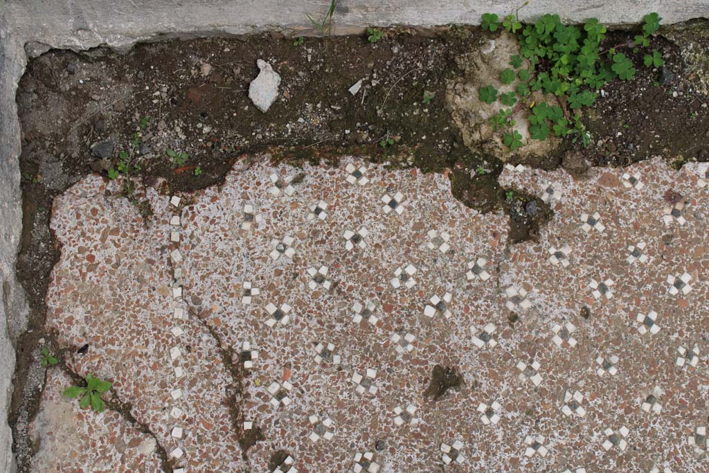 IX.5.9 Pompeii. May 2019. Room p, detail of flooring of cocciopesto with black and white tesserae in north-east corner.  
Foto Christian Beck, ERC Grant 681269 DCOR

