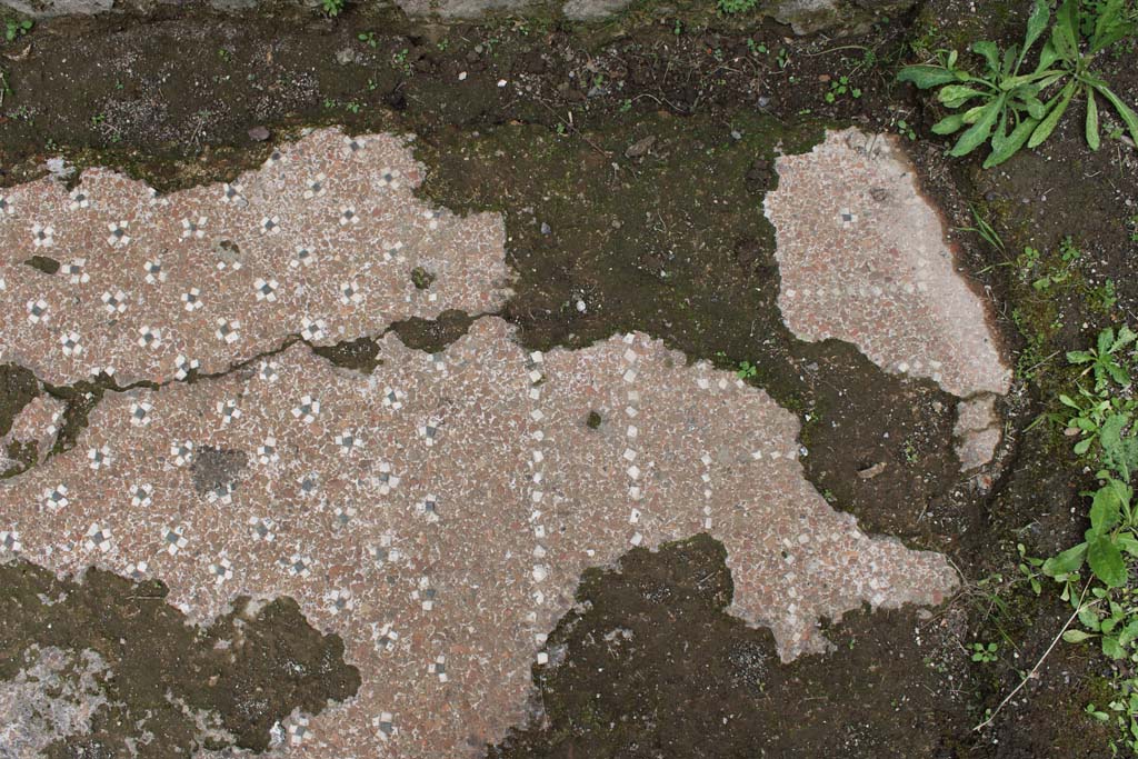 IX.5.9 Pompeii. May 2019. Room p, detail of flooring at south end.   
Foto Christian Beck, ERC Grant 681269 DCOR
