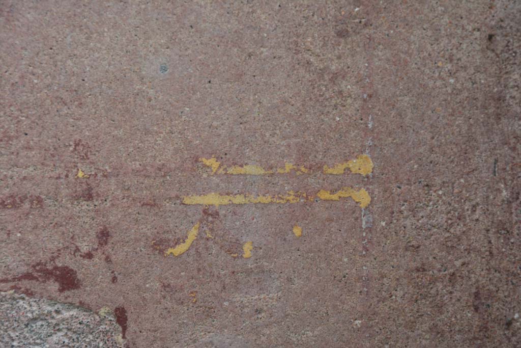 IX.5.9 Pompeii. March 2017. Room “f”, detail of painted decoration from zoccolo on south wall.
Foto Christian Beck, ERC Grant 681269 DÉCOR.

