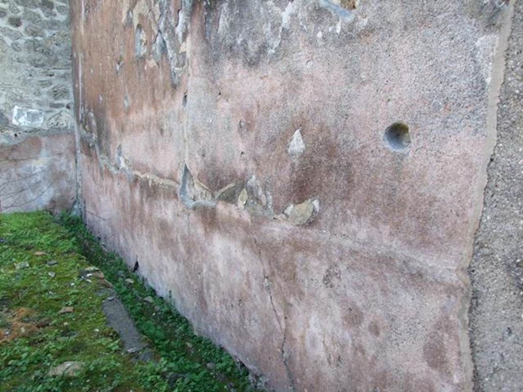 IX.5.11 Pompeii.  December 2007.Room 15.  Garden area.  South wall.