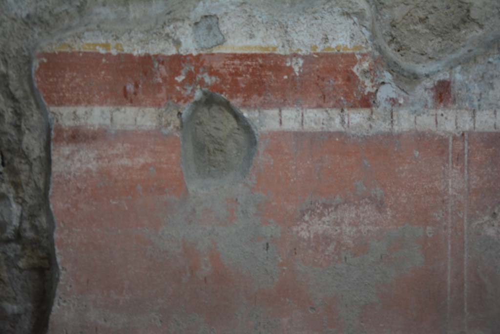 IX.5.11 Pompeii. March 2017. Room g, detail from zoccolo in centre of lower south wall. 
Foto Christian Beck, ERC Grant 681269 DCOR.


