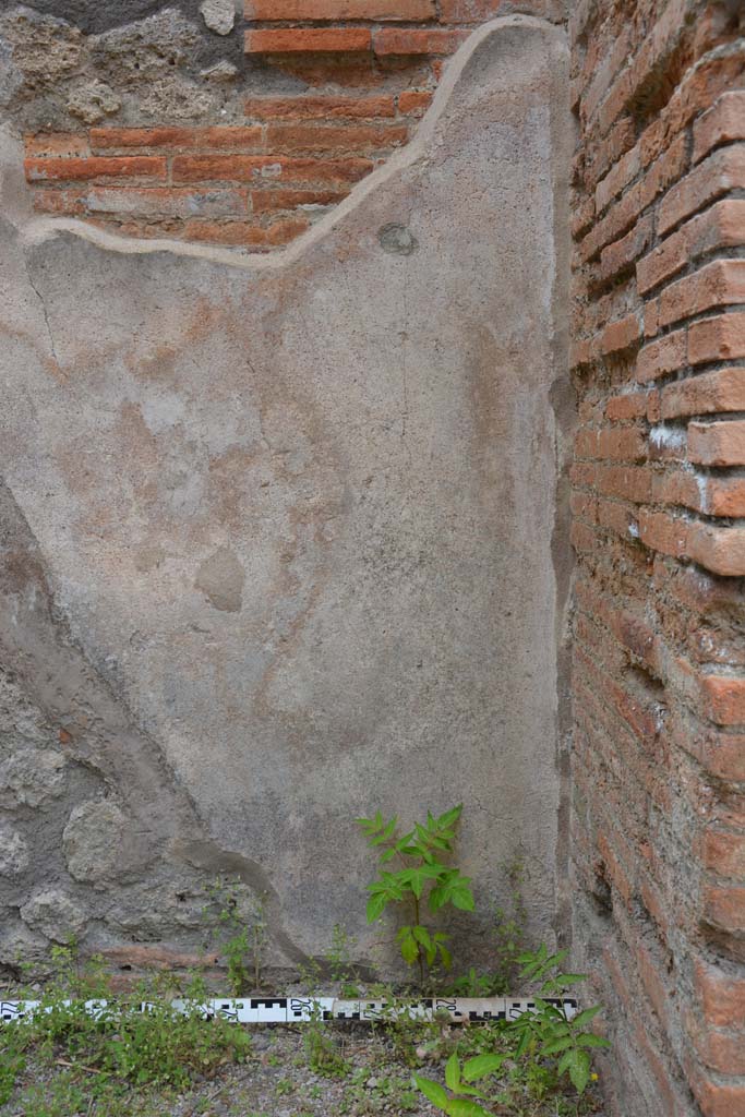 IX.5.12 Pompeii. May 2017. Detail from west wall at north end.
Foto Christian Beck, ERC Grant 681269 DCOR.
