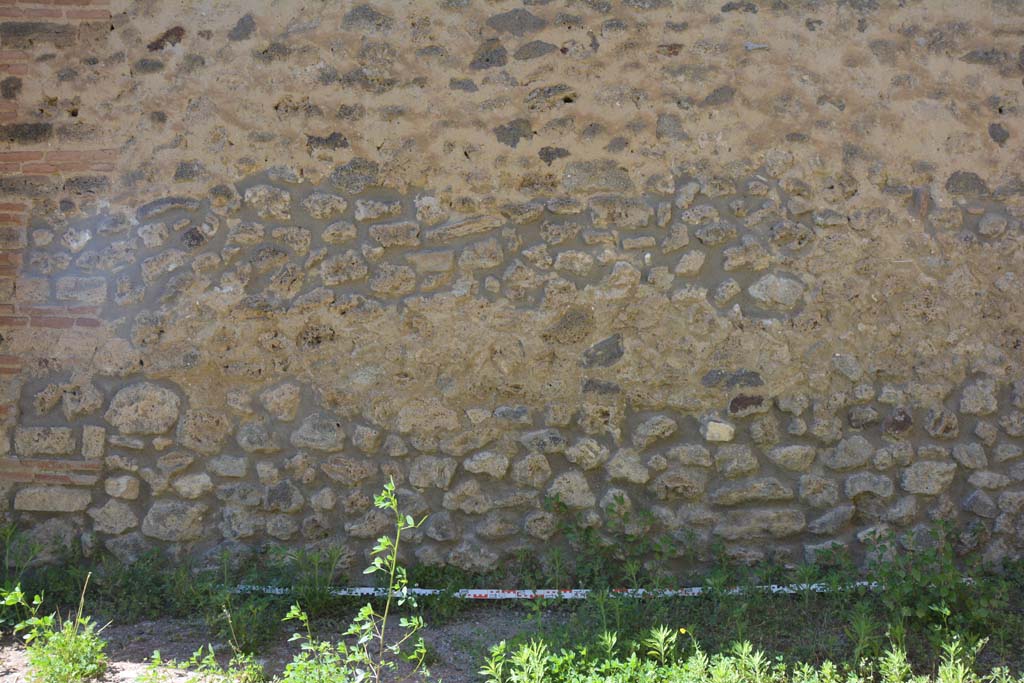 IX.5.14 Pompeii. May 2017. Room n, north wall.
Foto Christian Beck, ERC Grant 681269 DCOR.
