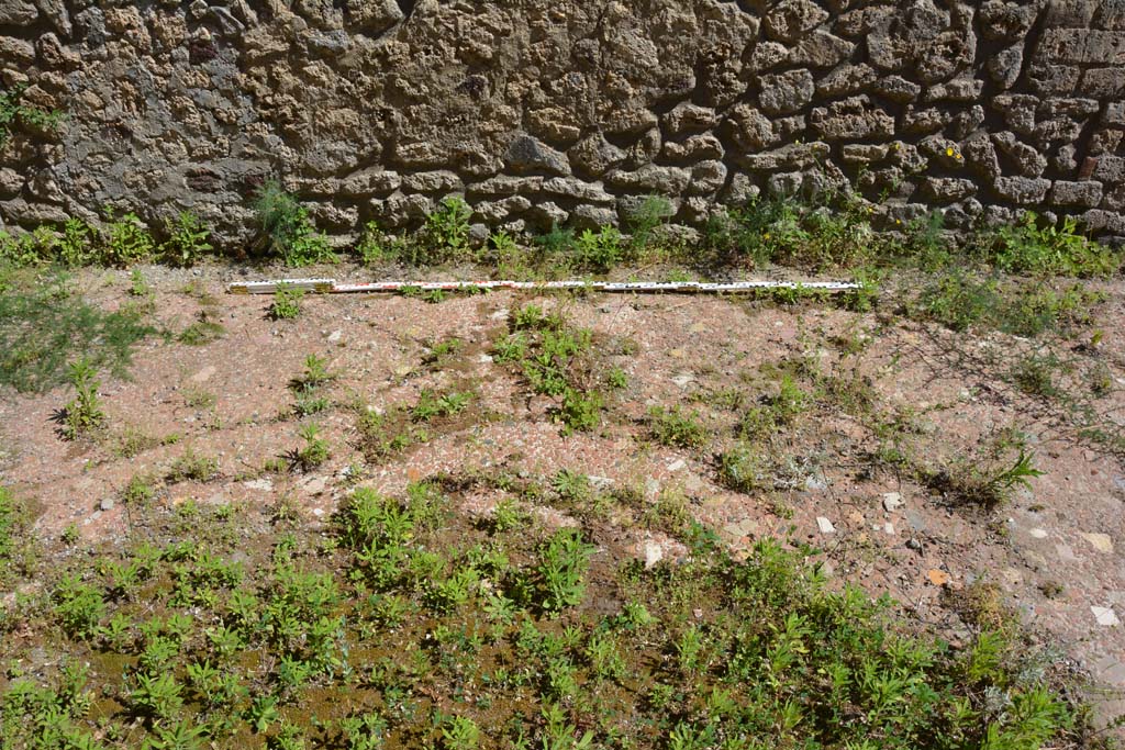 IX.5.14 Pompeii. May 2017. Room n, south wall and flooring.
Foto Christian Beck, ERC Grant 681269 DCOR.

