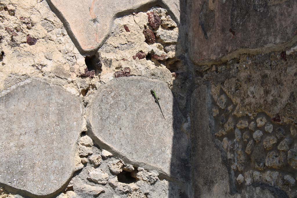 IX.5.14 Pompeii. May 2019. North ala, e, upper north wall in north-east corner.
Foto Christian Beck, ERC Grant 681269 DCOR.




