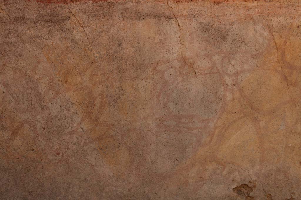 IX.5.14 Pompeii. May 2019. Room d, south wall, detail from painted zoccolo.
Foto Christian Beck, ERC Grant 681269 DCOR.

