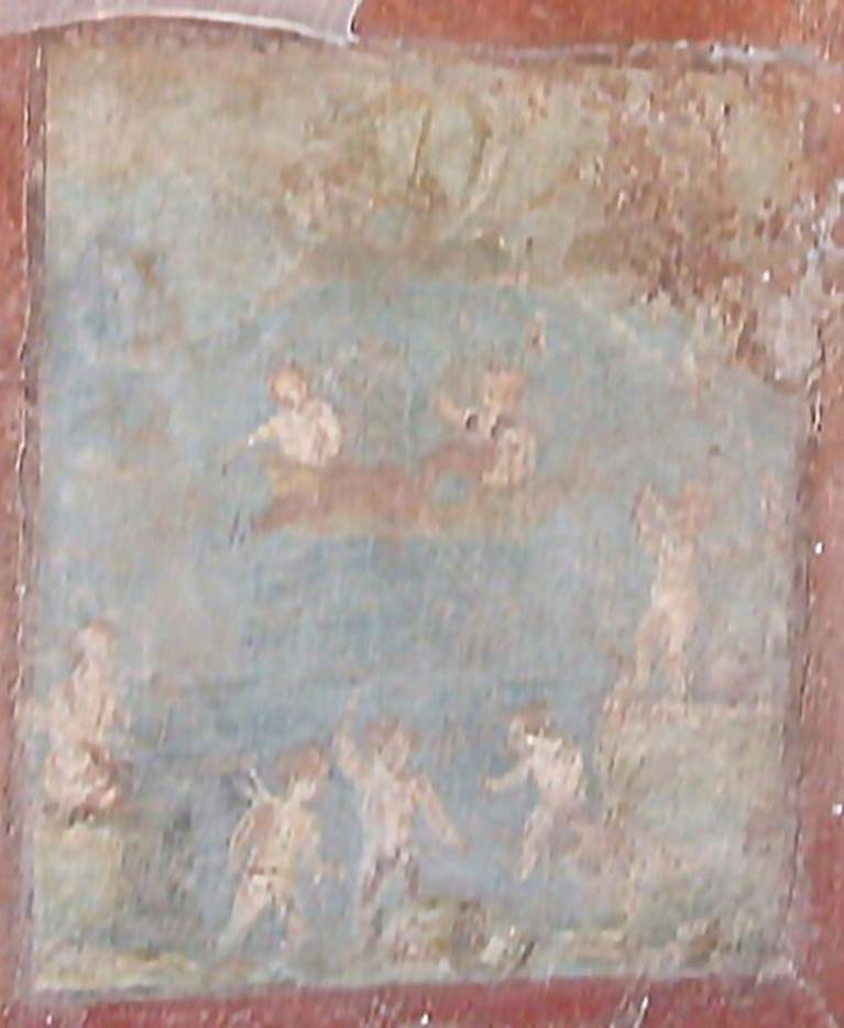 IX.5.14 Pompeii. May 2005. Room c, north wall of cubiculum on north side of entrance corridor.
Wall painting of Venus with fishing cupids.
