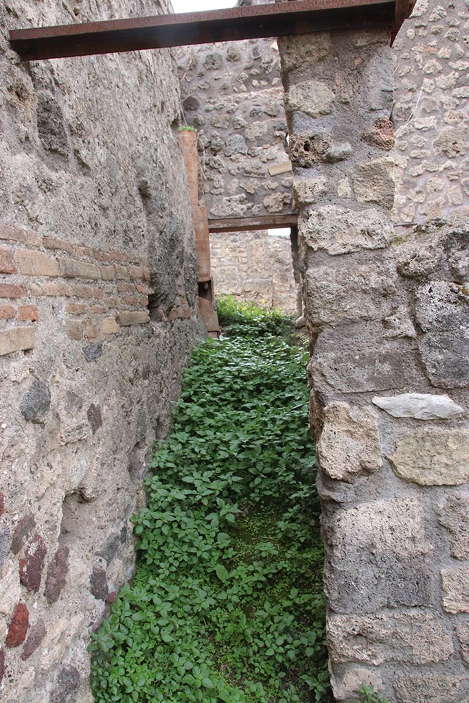 IX.7.16 Pompeii. October 2024. 
Room “d”, looking west along south side. Photo courtesy of Klaus Heese.
