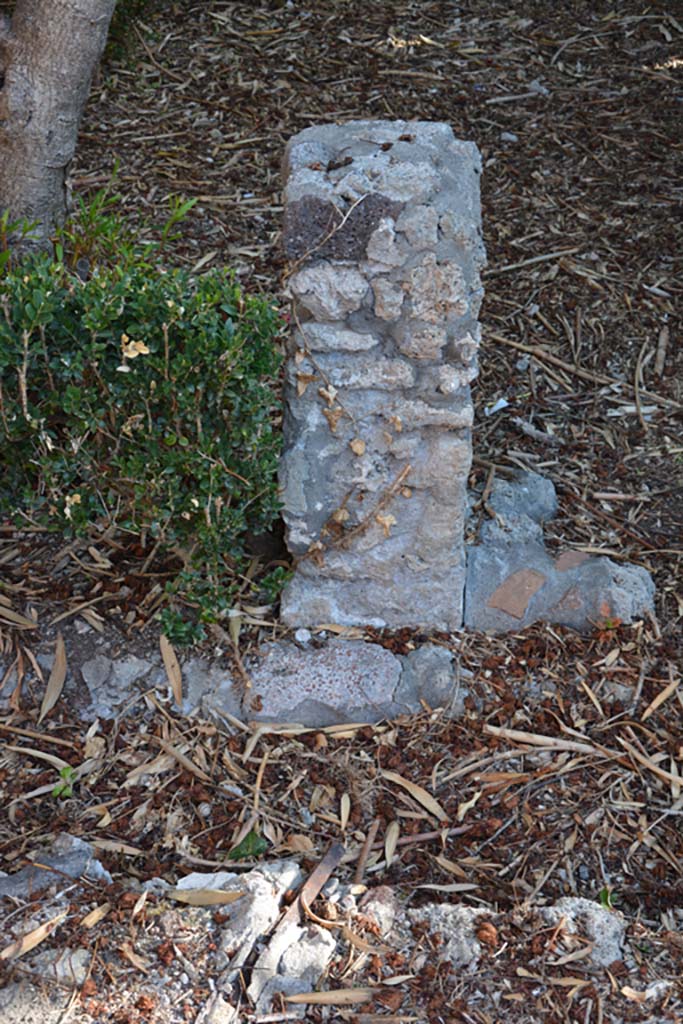 IX.7.20 Pompeii. October 2019. Detail from west portico, looking east.
Foto Annette Haug, ERC Grant 681269 DÉCOR.
