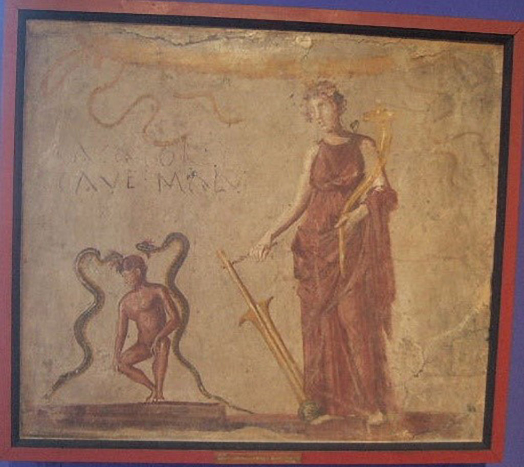 Lararium wall painting of Isis Fortuna found in corridor leading to latrine of IX.7.21/2.  
Now in Naples Archaeological Museum. Inventory number: 112285.
According to Boyce, to the left of Fortuna is a nude man, squatting in a position appropriate to the wording painted above his head -
CACATOR
CAVE MALV

According to Epigraphik-Datenbank Clauss/Slaby (See www.manfredclauss.de) this reads as

Cacator 
cave malu(m)      [CIL IV 3832].

A serpent rises on each side of him, as if he is replacing the usual altar with offerings.
Below the painting a terracotta monopodium stood against the wall, perhaps serving as an altar.
See Boyce G. K., 1937. Corpus of the Lararia of Pompeii. Rome: MAAR 14. (p.88, no.442 and Pl. 26, 2) 
See Frhlich, T., 1991. Lararien und Fassadenbilder in den Vesuvstdten. Mainz: von Zabern. (L106, Picture 10, 1)
According to Hobson, a painting from a latrine shows the goddess Fortuna next to a man between 2 snakes, apparently advising the person entering the toilet to beware of the danger of the pollution of defecation: Cacator cave malu(m).
See Hobson, B., 2009. Latrinae et foricae: Toilets in the Roman World. London; Duckworth. (p.111)
