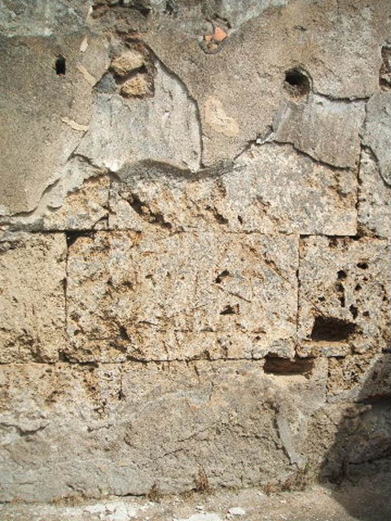 IX.7.25 Pompeii. May 2005. North wall of cubiculum “b”, on east side of entrance corridor.
