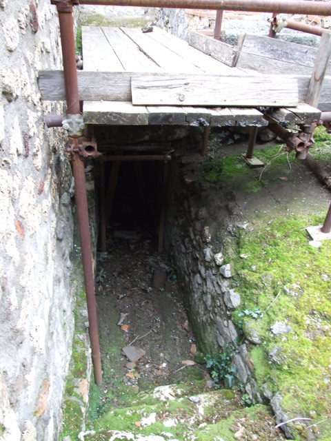 IX.8.6 Pompeii. March 2009.  Room 23.  Remains of painted plaster under niche on south wall.
