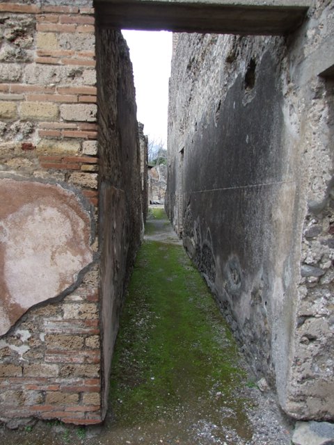 IX.8.6 Pompeii. March 2009.  Room 27.  Floor.
